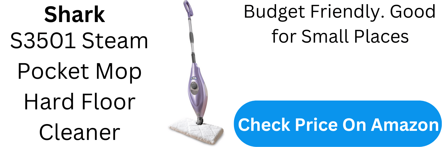 Best Steam Mops