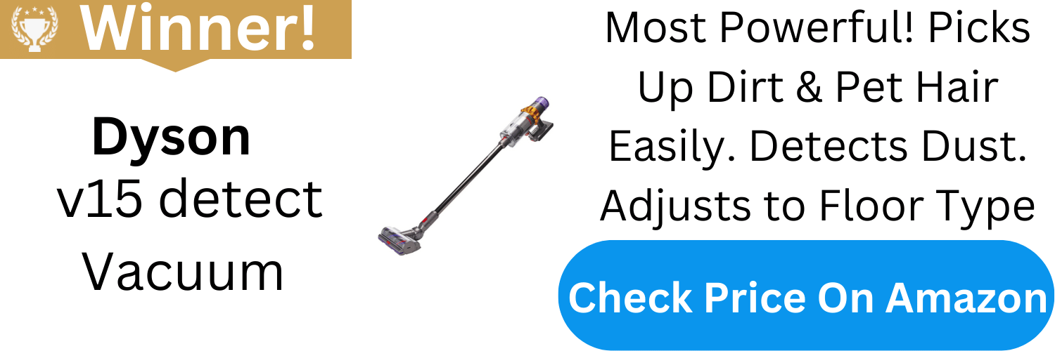 Best Stick Vacuums